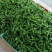 福建高山露天种植鲜辣椒，现摘产地直发！多品种任选。