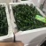 福建高山露天种植鲜辣椒，现摘产地直发！多品种任选。