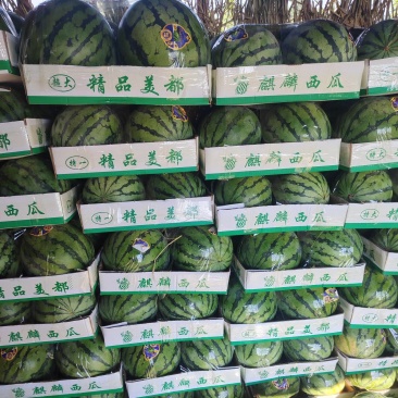 【无籽美都】陕西蒲城/糖度高皮薄砂甜产地直销…