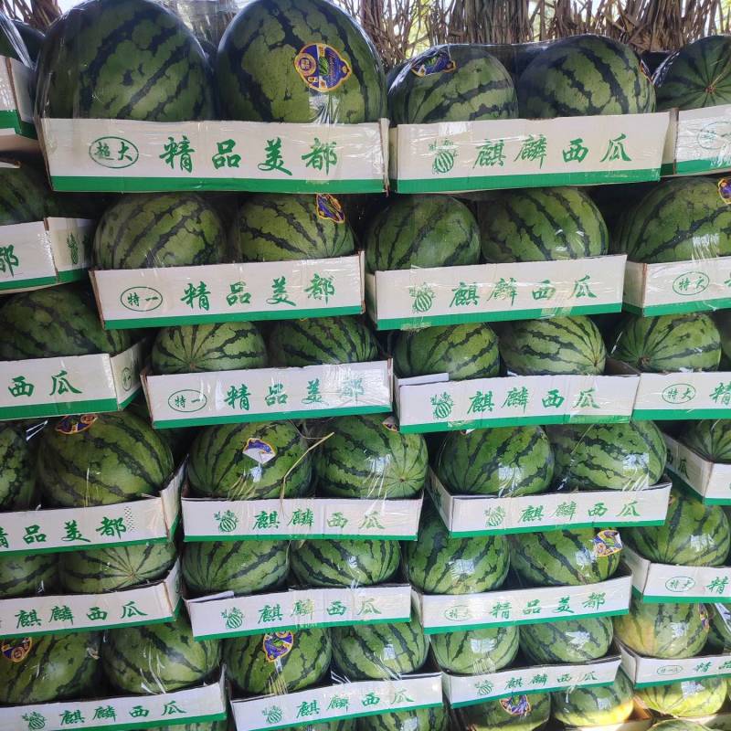 【无籽美都】陕西蒲城/糖度高皮薄砂甜产地直销…