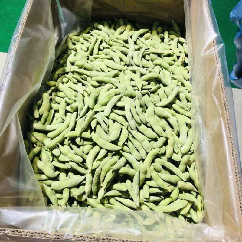 北纬三十八度毛豆