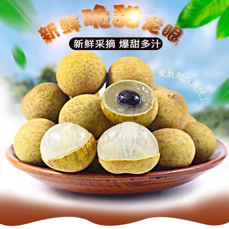 石硖龙眼，储良龙眼大量供应