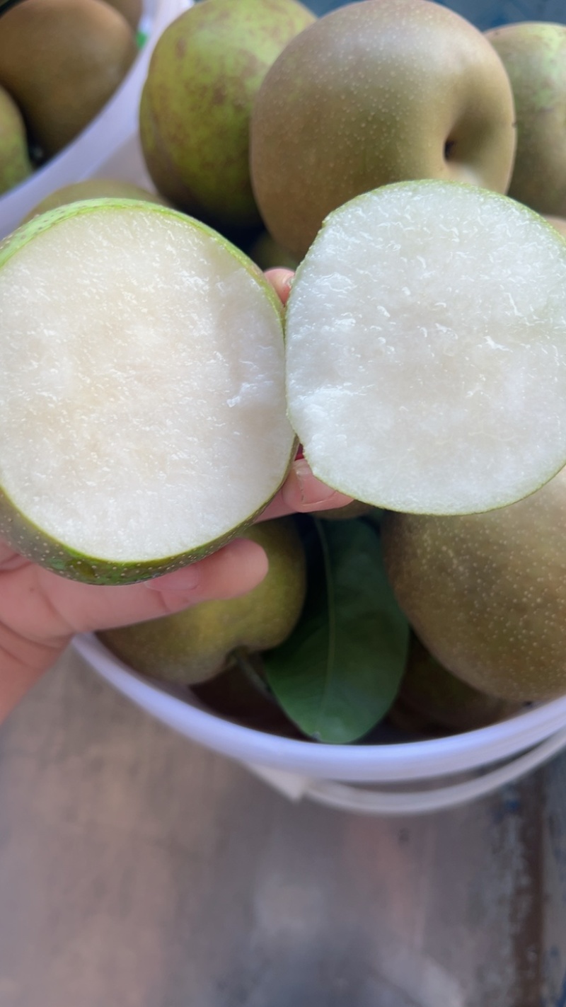 翠冠梨