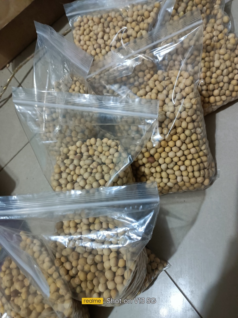黄豆袋装一斤装农产品自家种植黄豆适合做豆腐，豆浆，豆芽菜