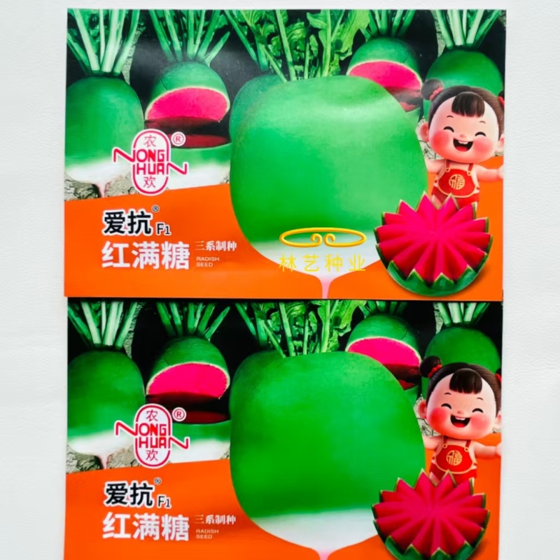 爱抗红满糖三系制种杂交萝卜肉质鲜艳红色抗性号耐储运萝卜种