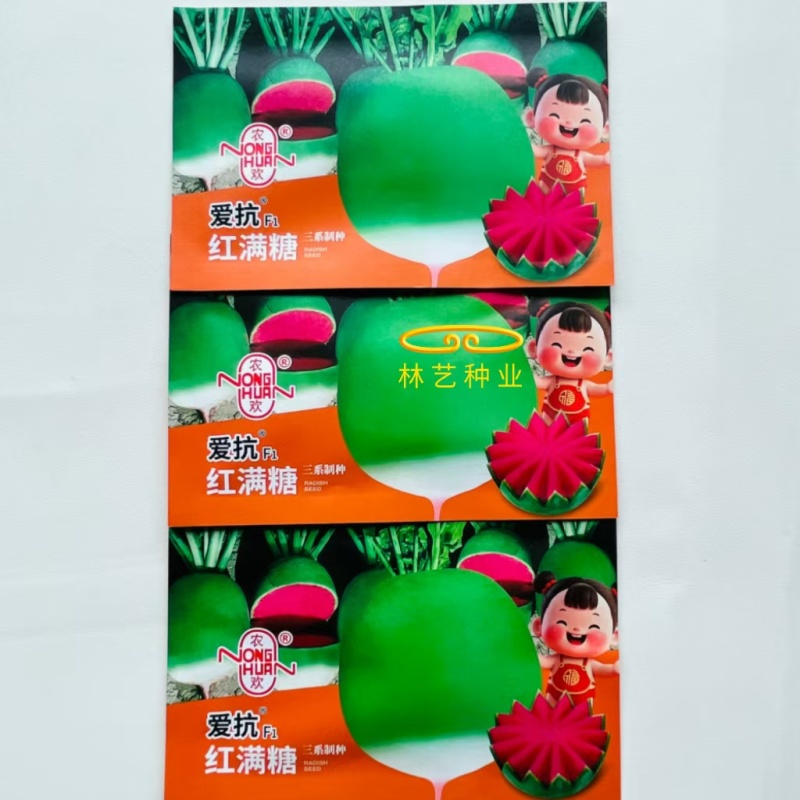 爱抗红满糖三系制种杂交萝卜肉质鲜艳红色抗性号耐储运萝卜种