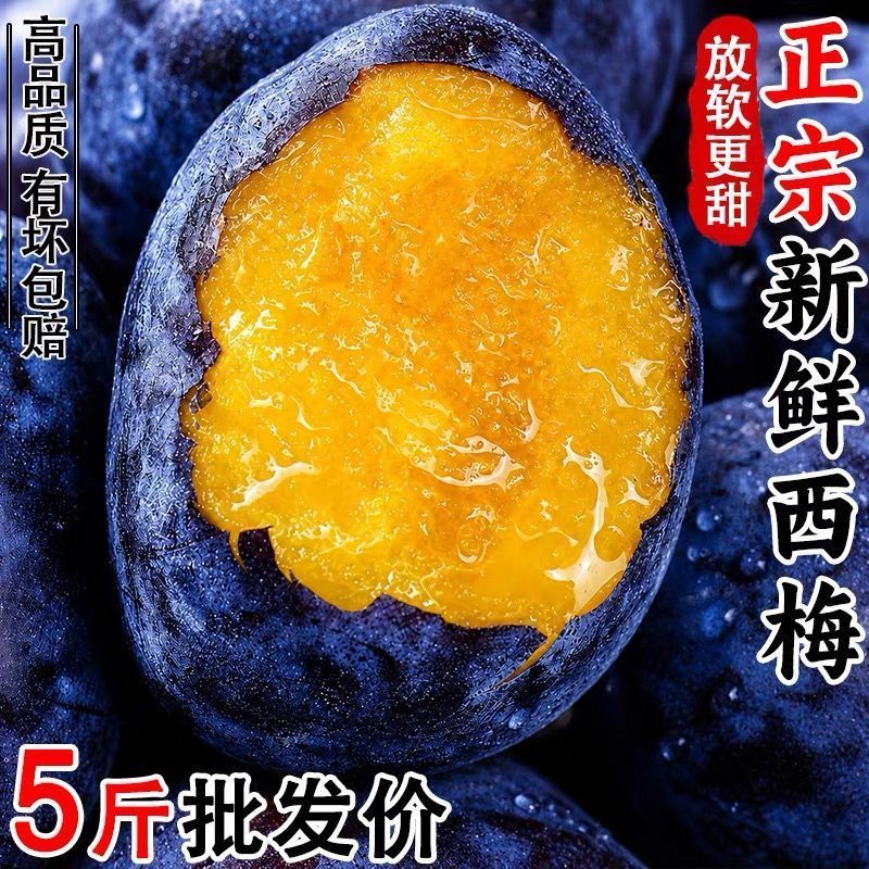 新鲜西梅大量有货支持电商一件代发保质保量