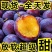 新鲜西梅大量有货支持电商一件代发保质保量