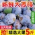 新鲜西梅大量有货支持电商一件代发保质保量