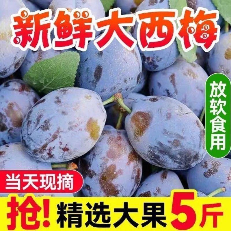 新鲜西梅大量有货支持电商一件代发保质保量