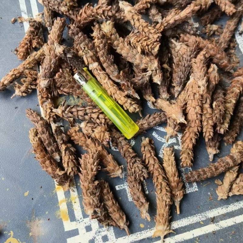 夏枯草大花零差评10公斤一件百万销量广州店十年口碑