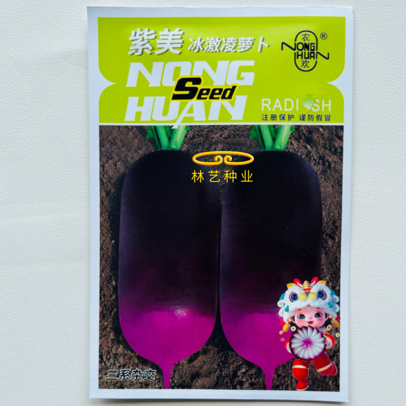 紫美冰激凌水果萝卜种子甜心甜脆型糖心紫皮萝卜春秋蔬菜种籽