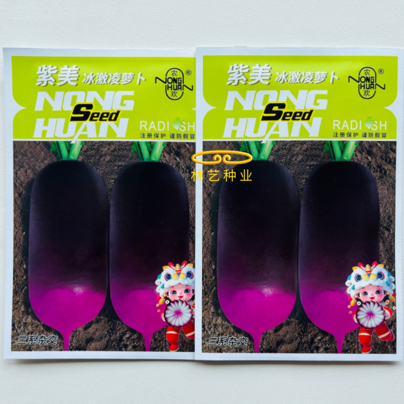 紫美冰激凌水果萝卜种子甜心甜脆型糖心紫皮萝卜春秋蔬菜种籽