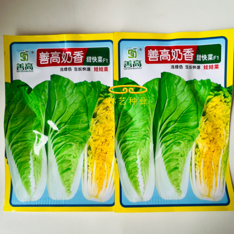 善高奶甜香快菜种子口感甜嫩早熟快菜种籽20天可采收