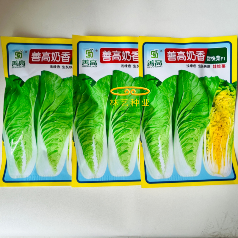 善高奶甜香快菜种子口感甜嫩早熟快菜种籽20天可采收