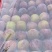 现在各个李子品种大量上市，有需要的联系