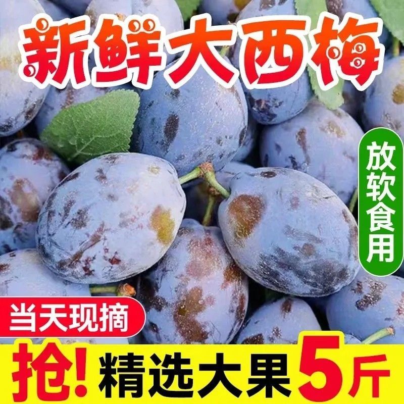 新鲜西梅现货供应支持电商保质保量抖音多多