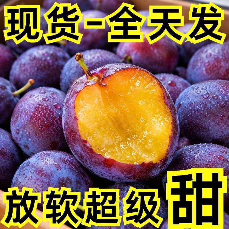 新鲜西梅现货供应支持电商保质保量抖音多多