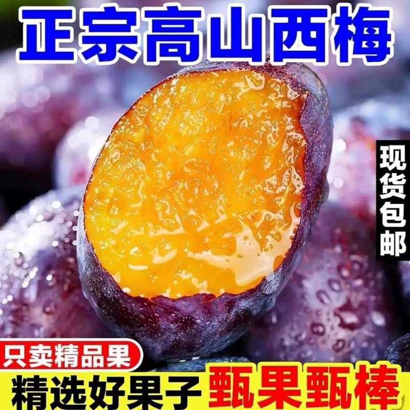 新鲜西梅现货供应支持电商保质保量抖音多多