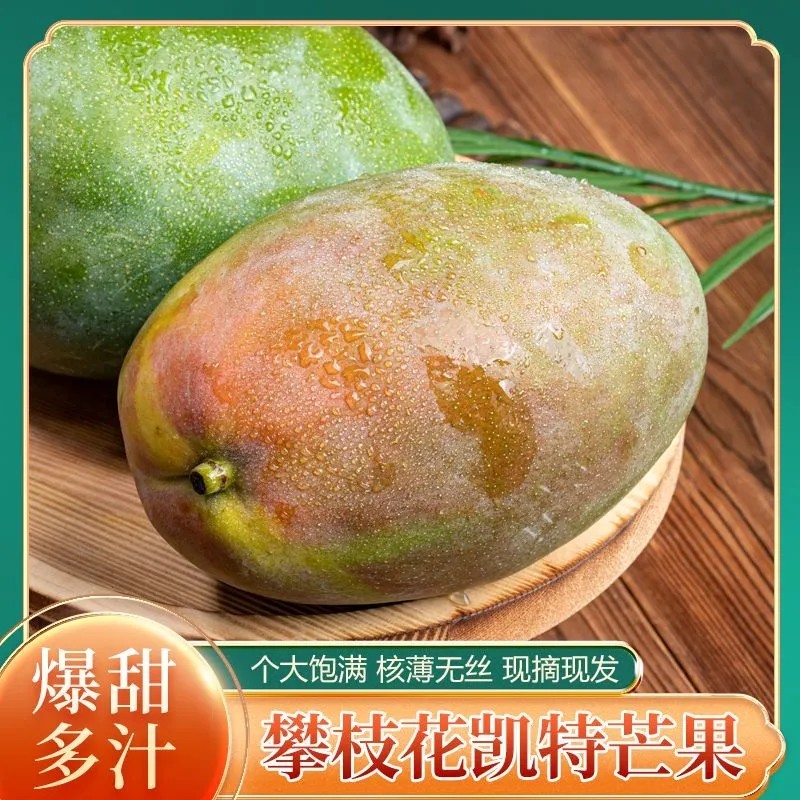 凯特一件代发