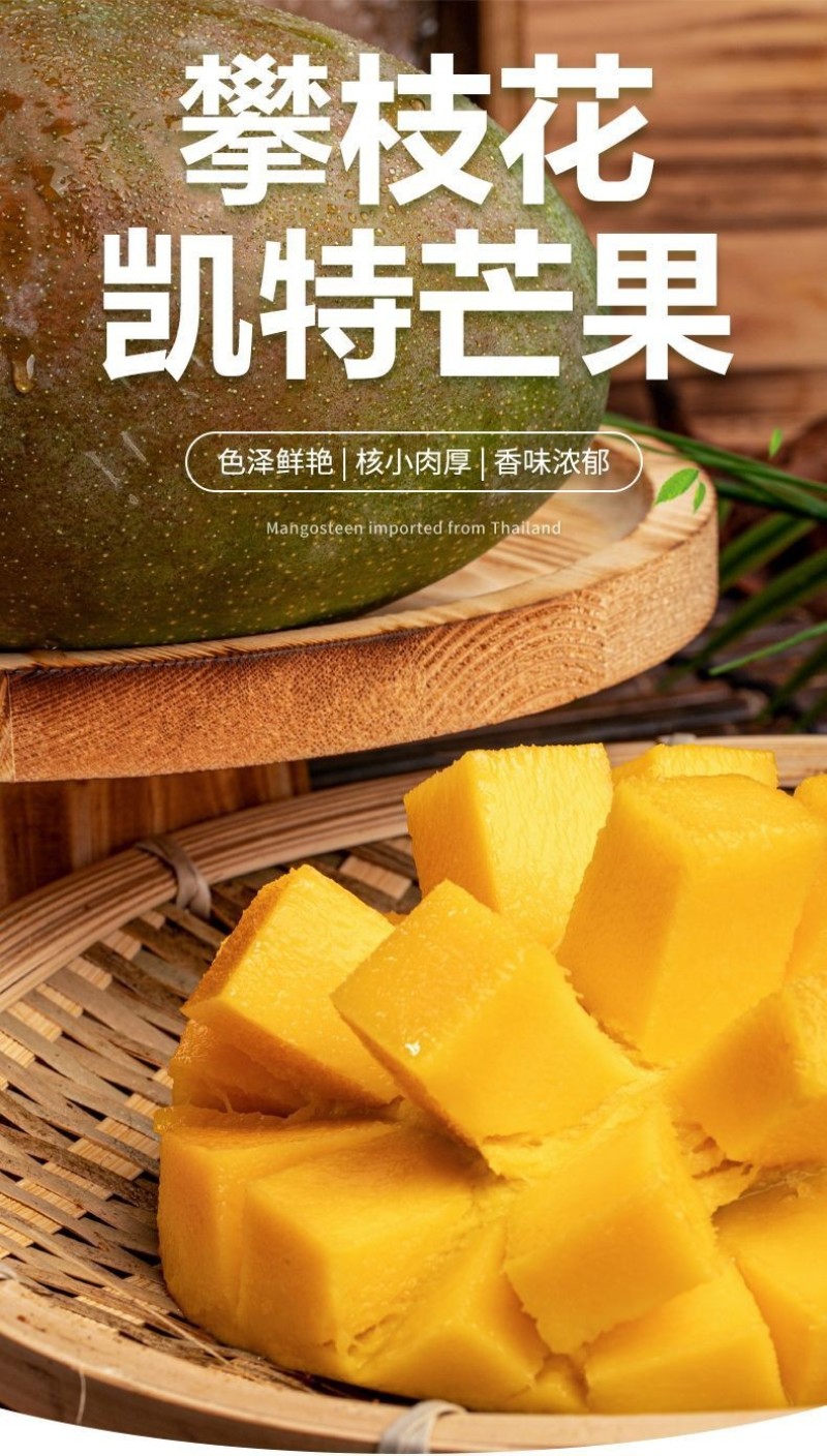 凯特一件代发