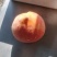 19黄桃