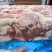 特价产品，倒三七碎肉