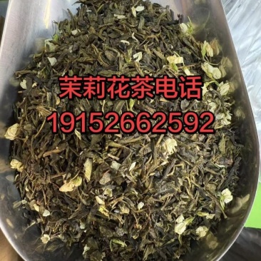 茉莉绿茶