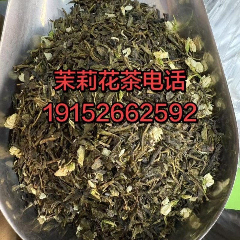 茉莉绿茶