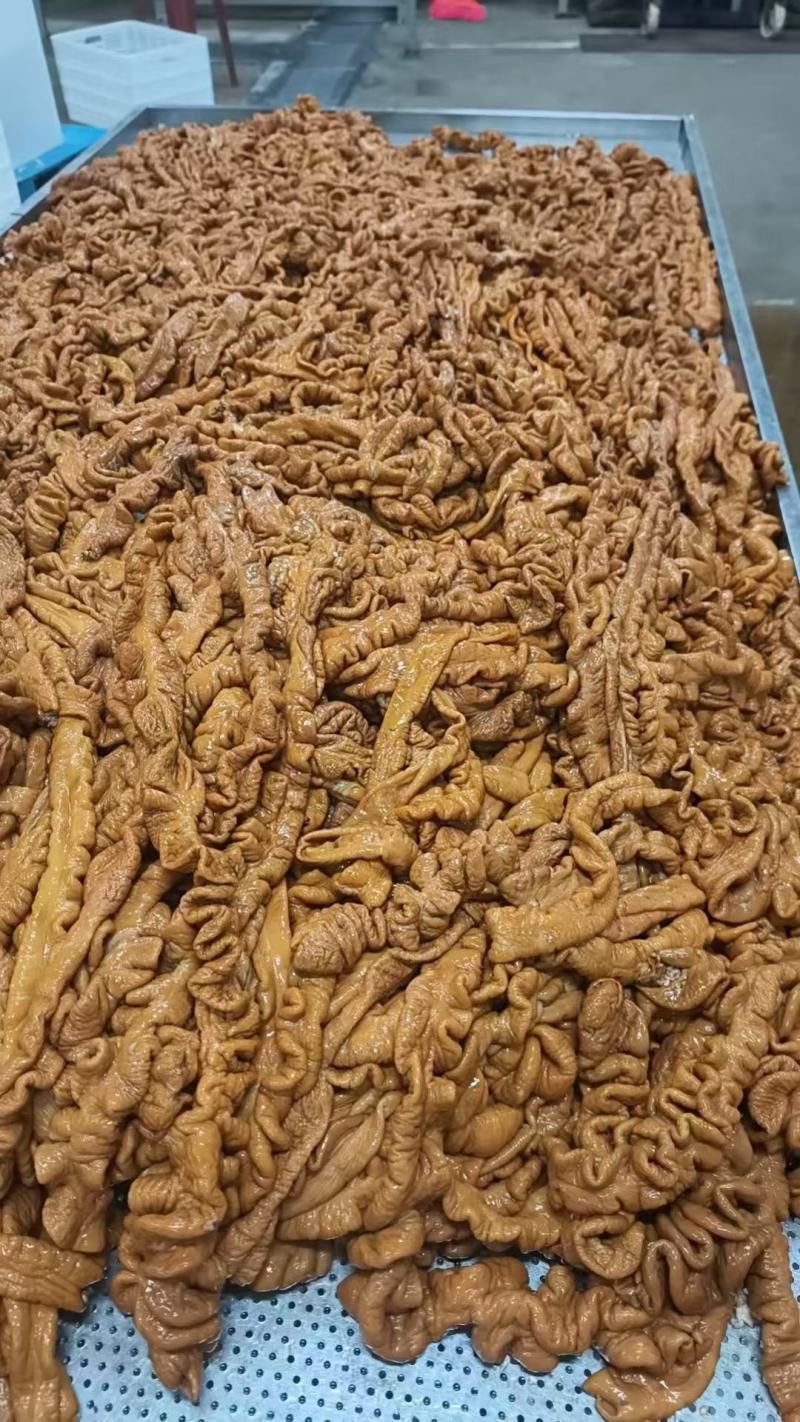 【肠类】卤制肥肠大量供应厂家直发品质保证量大价优