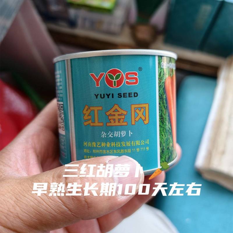 三胡萝卜品种杂交早熟叶绿长势强收尾早根长22厘米
