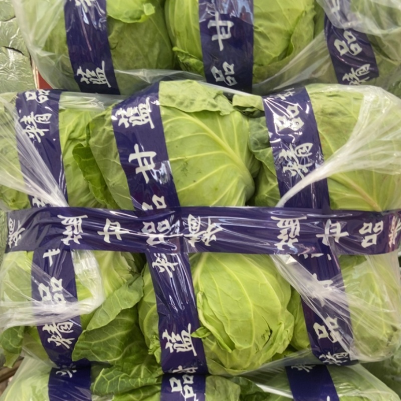 精品绿甘蓝