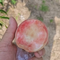 毛桃