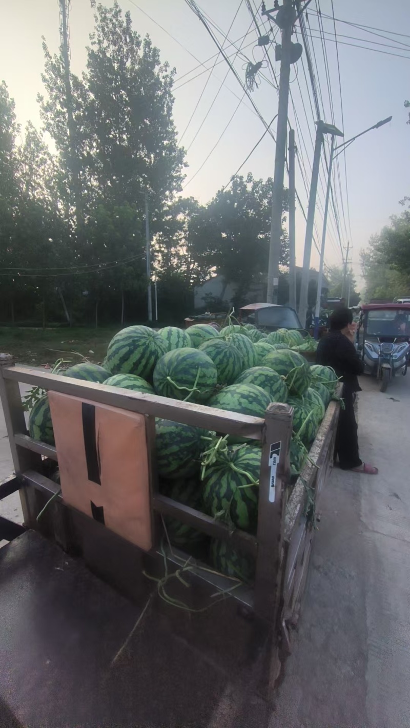安徽美都西瓜品质好大量上市甜度高，欢迎采购，