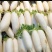 白萝卜