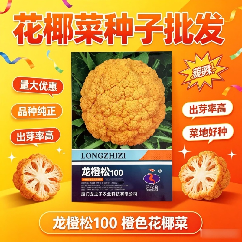 龙橙松100黄色花椰菜种子中晚熟耐寒花球松大黄色花菜种子