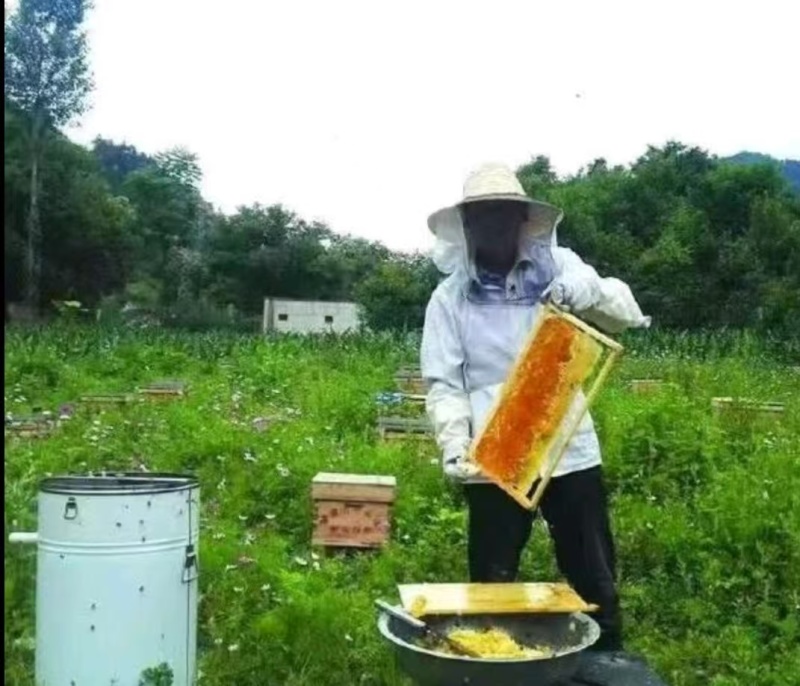 深山土蜂蜜，假一赔十