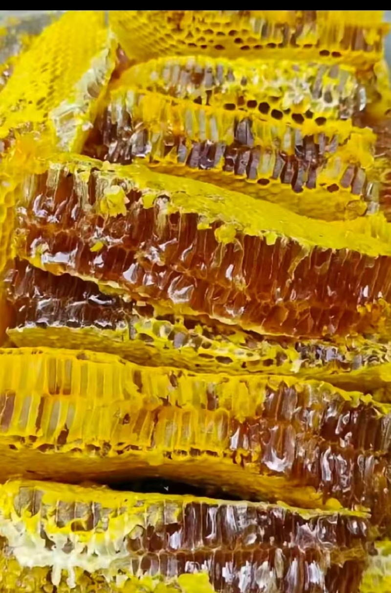 深山土蜂蜜，假一赔十
