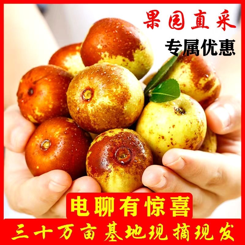 鲜枣基地直供平台供应链直播带货社区团购现摘现发货