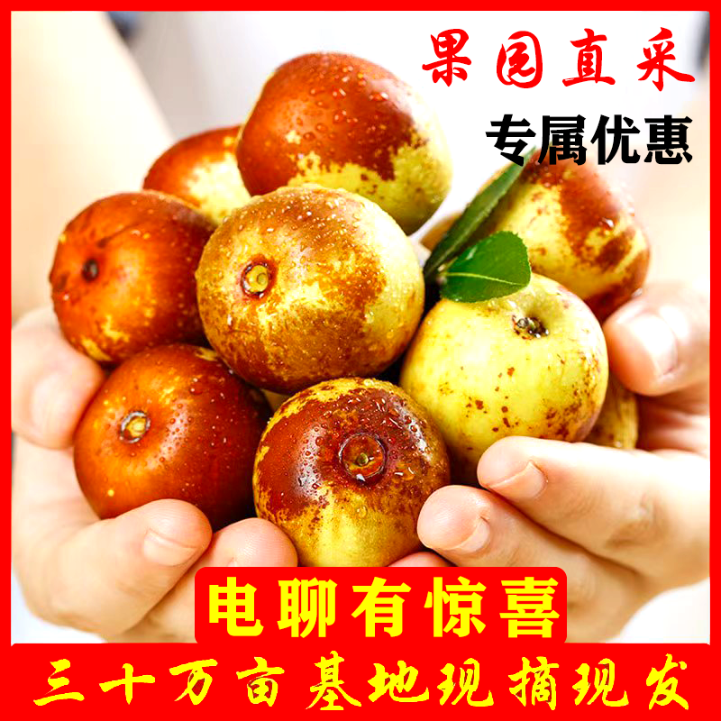 鲜枣基地直供平台供应链直播带货社区团购现摘现发货