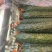 云南鲜花精品黄瓜，条型顺直，瓜刺新鲜，当天採摘
