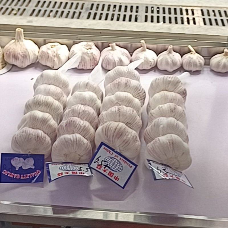 大蒜
