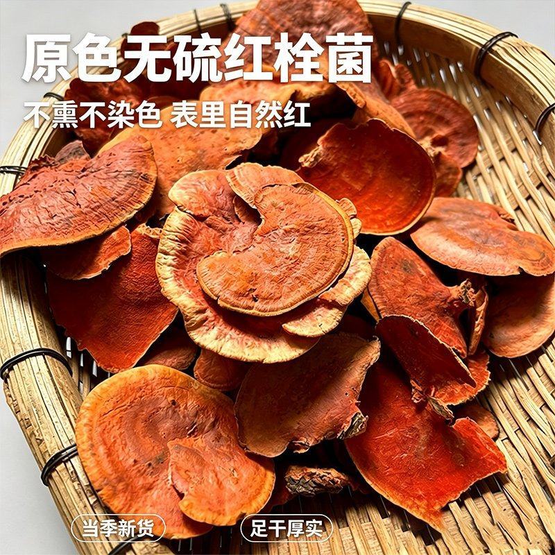 红栓菌中药材云南深山牛樟芝血灵芝大货批发一件代发泡酒煮水