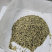 虫草菌种