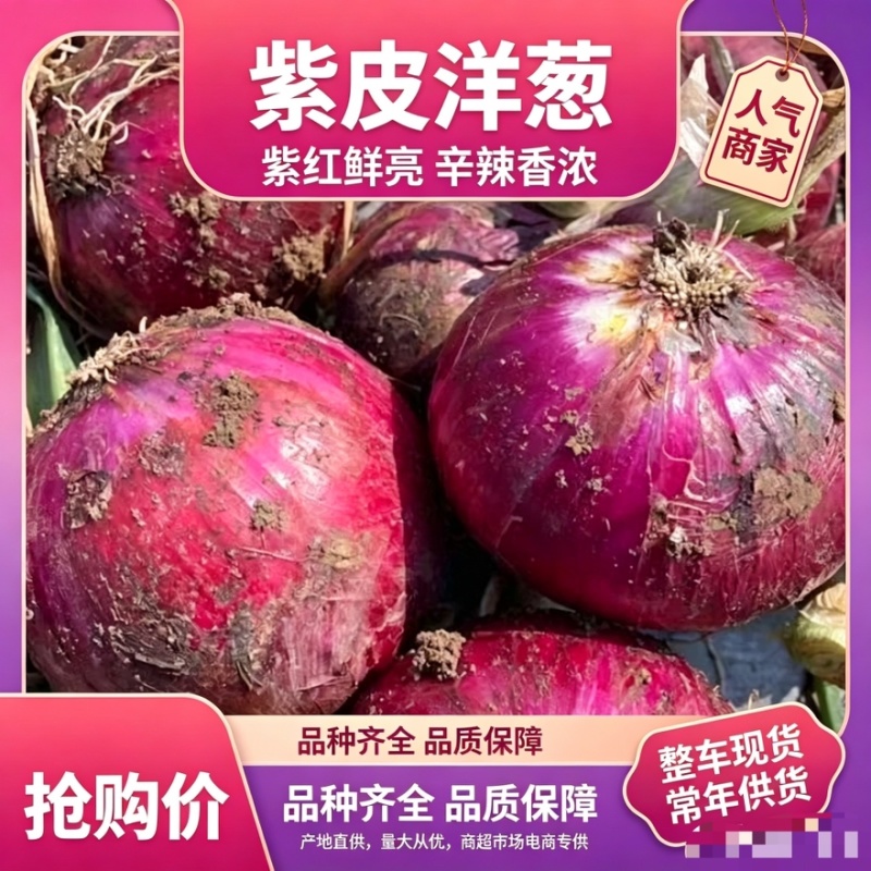 洋葱大量上市对接各大市场商超平台欢迎大家前来沟通