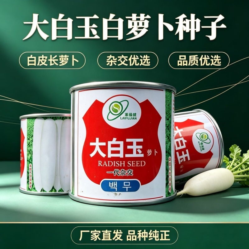 大白玉白萝卜种子白皮花叶不易糠心高产抗病耐抽苔长白萝卜种