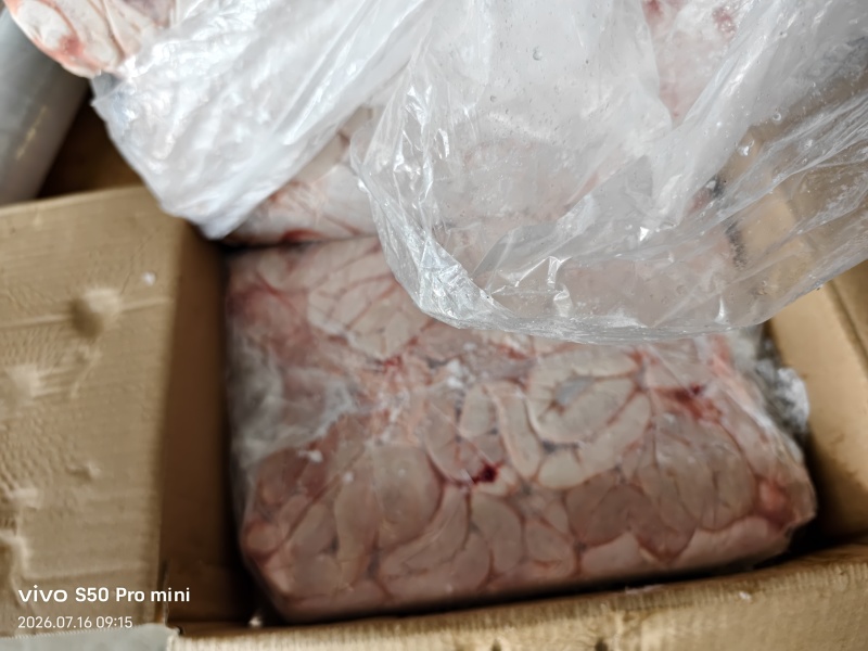 母猪大小花肠东北纯干货