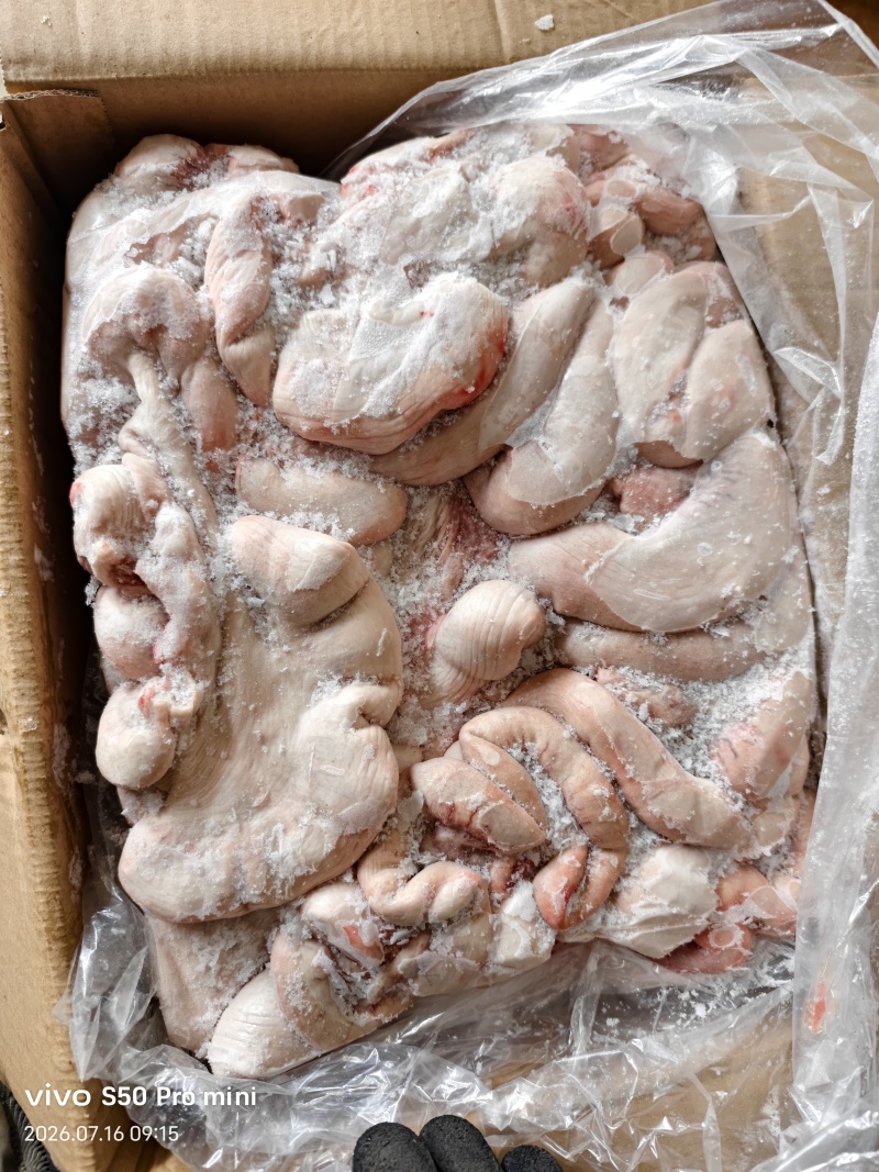 母猪大小花肠东北纯干货