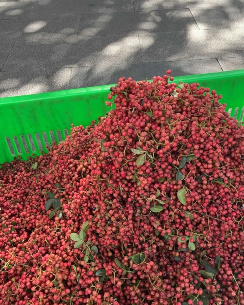 汉源生花椒，量大从优