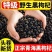 包邮新货精品青海柴达木黑枸杞煲汤泡茶含花青素量大优惠一件